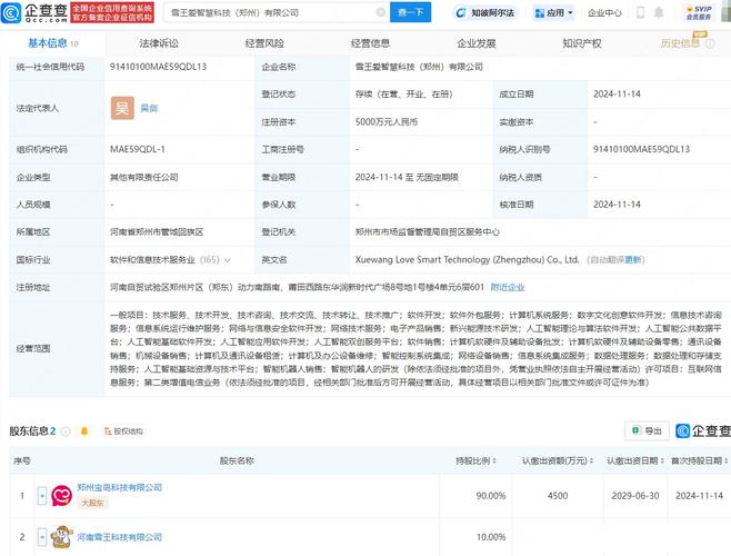 網絡技術新力量 吳劍創立5000萬元公司，深耕網絡技術服務